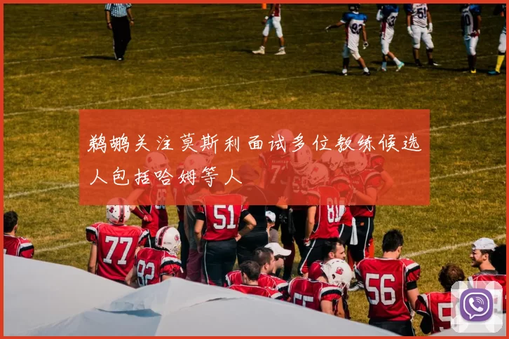 鹈鹕关注莫斯利面试多位教练候选人包括哈姆等人